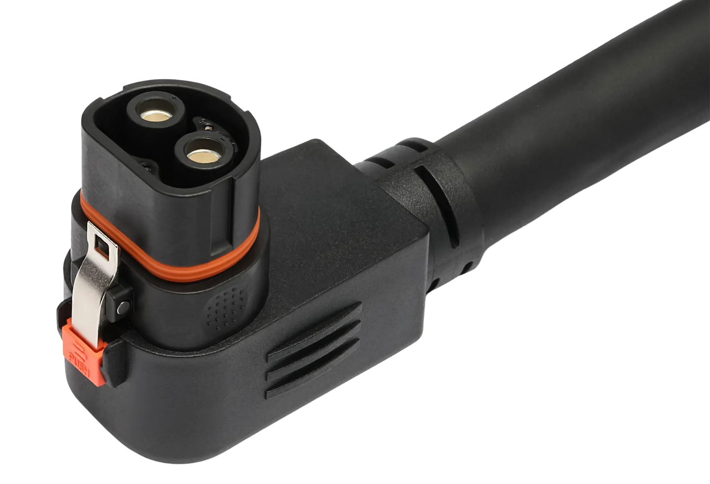 Lion Safari XP Expansion Pack