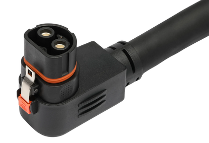 Lion Safari XP Expansion Pack