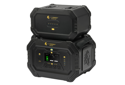 Lion Safari XP Expansion Pack